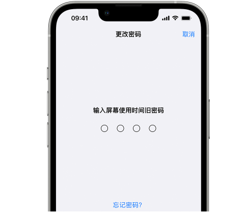 镇海iPhone屏幕维修分享iPhone屏幕使用时间密码忘记了怎么办 