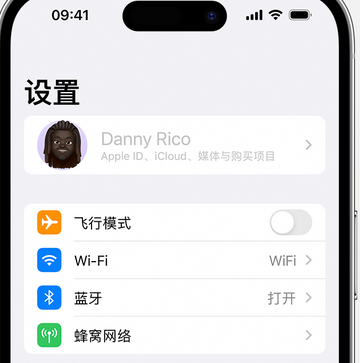 镇海appleID维修服务iPhone设置中Apple ID显示为灰色无法使用