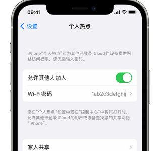 镇海apple服务站点分享iPhone上个人热点丢失了怎么办