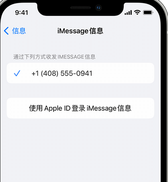 镇海apple维修iPhone上无法正常发送iMessage信息 