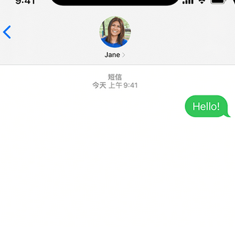 镇海apple维修iPhone上无法正常发送iMessage信息