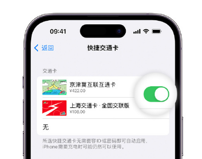 镇海apple维修点分享iPhone上更换Apple Pay快捷交通卡手绘卡面 