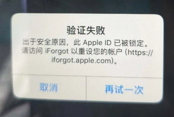 镇海iPhone维修分享iPhone上正常登录或使用AppleID怎么办 