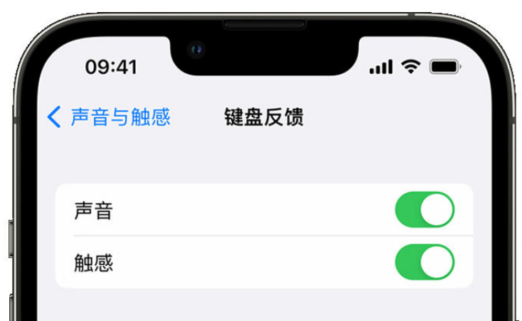 镇海苹果手机维修分享iPhone 14触感键盘使用方法 