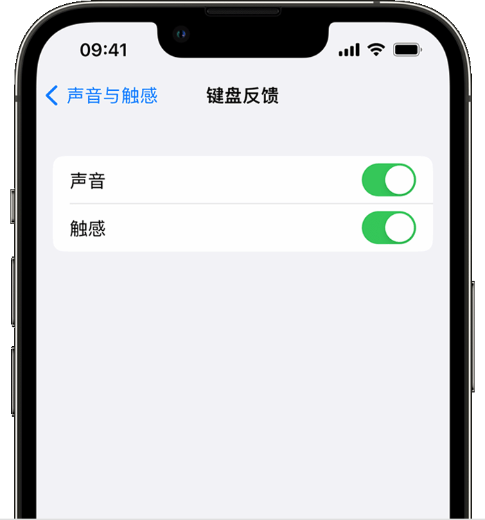 镇海苹果14维修店分享如何在 iPhone 14 机型中使用触感键盘 