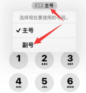 镇海苹果14维修店分享iPhone 14 Pro Max使用副卡打电话的方法 