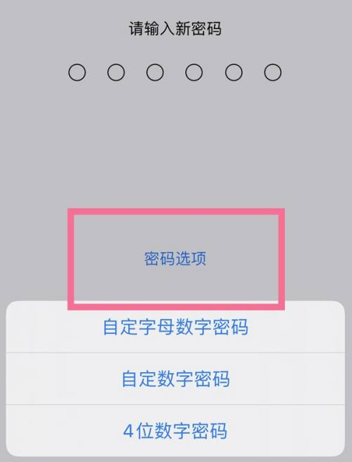 镇海苹果14维修分享iPhone 14plus设置密码的方法 