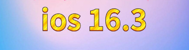 镇海苹果服务网点分享苹果iOS16.3升级反馈汇总 