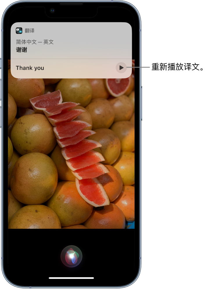 镇海苹果14维修分享 iPhone 14 机型中使用 Siri：了解 Siri 能帮你做什么 