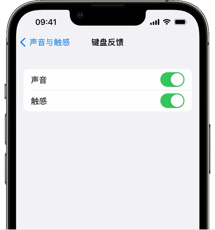 镇海苹果14维修分享iPhone 14 系列机型如何开启键盘声音或触感反馈 