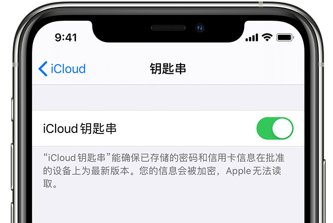 镇海苹果手机维修分享在 iPhone 上开启 iCloud 钥匙串之后会储存哪些信息 