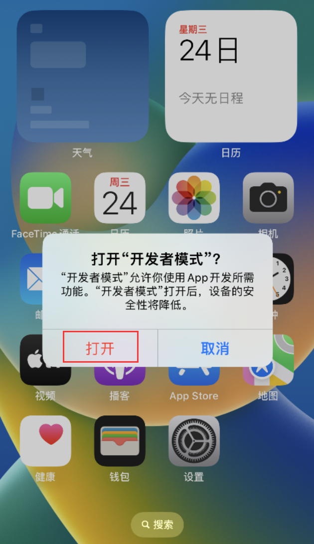 镇海苹果手机维修分享如何打开开发者模式 