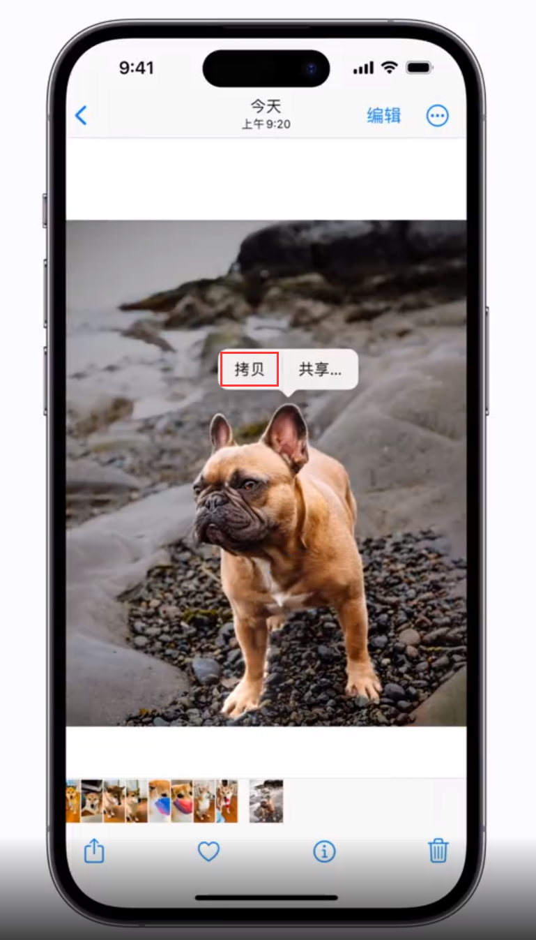 镇海苹果手机维修分享 iOS 16 自带一键抠图功能 