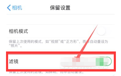 镇海苹果13维修分享iPhone13拍照有绿点是怎么回事 