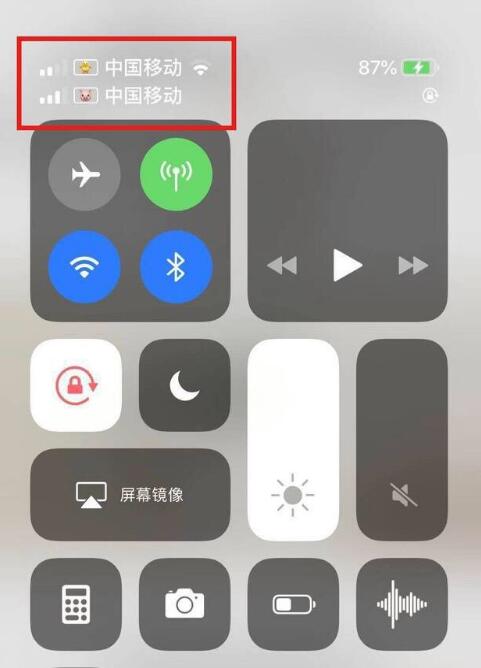 镇海苹果手机维修分享为 iPhone 12 双卡设置标签 