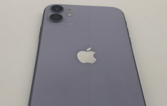 镇海苹果11系统维修分享iPhone11手机系统崩溃无法开机如何解决 